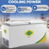 Western-568-Litre-Deep-Freezer-D575H225-2